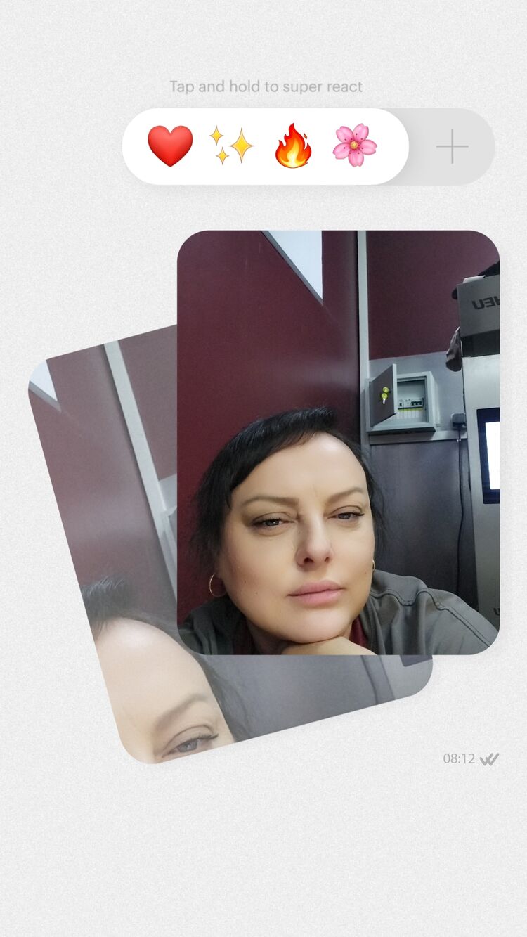  54108205  , 43 ,    