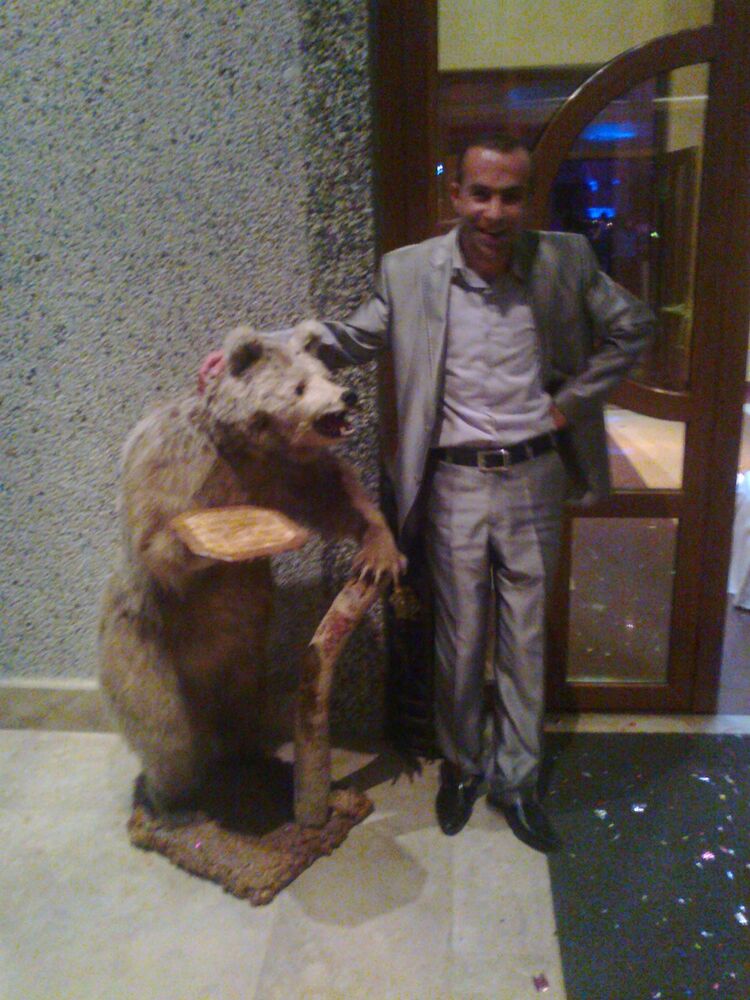 ���� 5387945 ������� Kar, 39 ���, ���� ���������� � �������