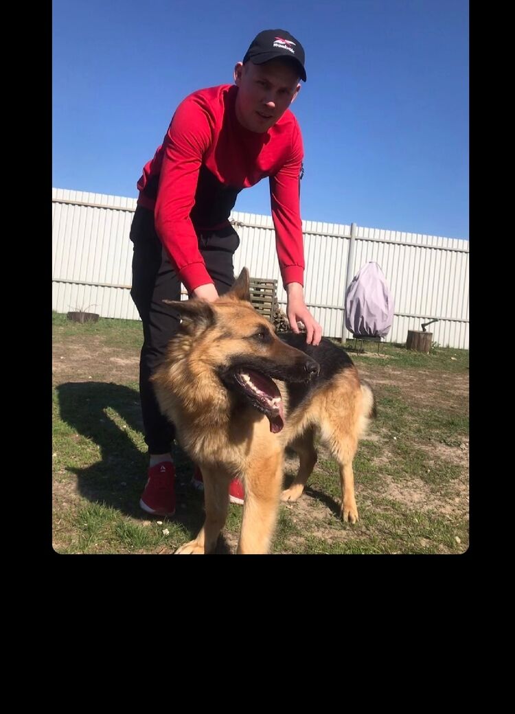 ���� 44241885 ������� ����, 31 ���, ���� ���������� � ������