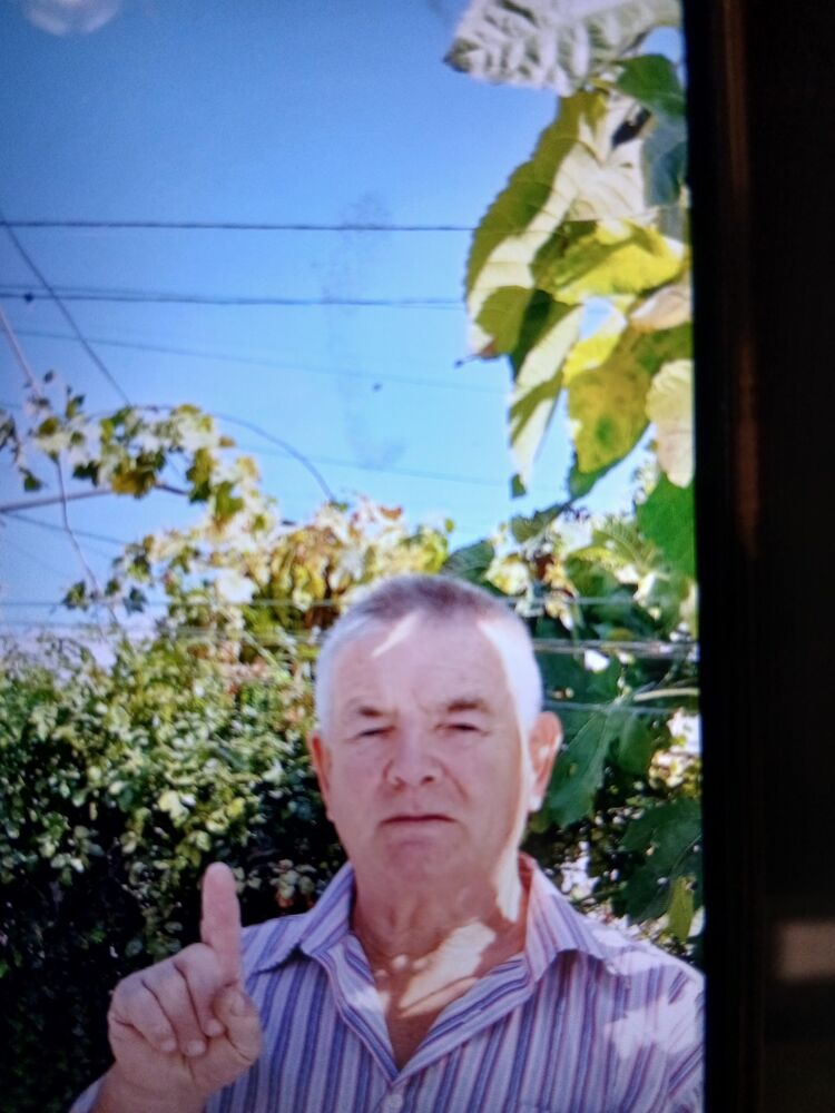 ���� 55079195 ������� Volna, 59 ���, ���� ���������� � ����