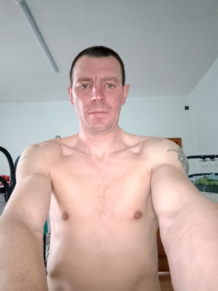  50853655  , 41 ,    