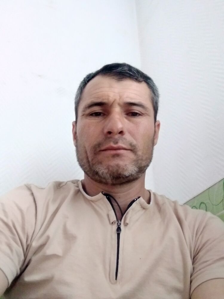  34029295  , 43 ,    