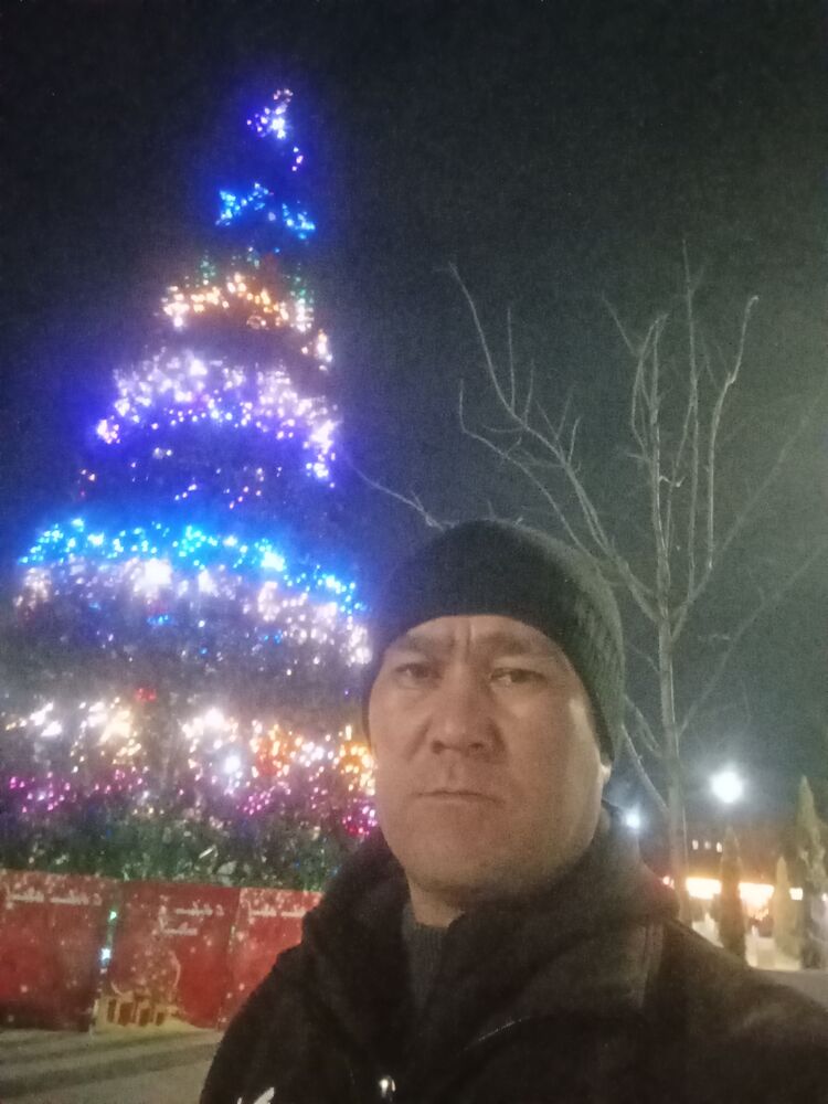  49527385  , 42 ,    