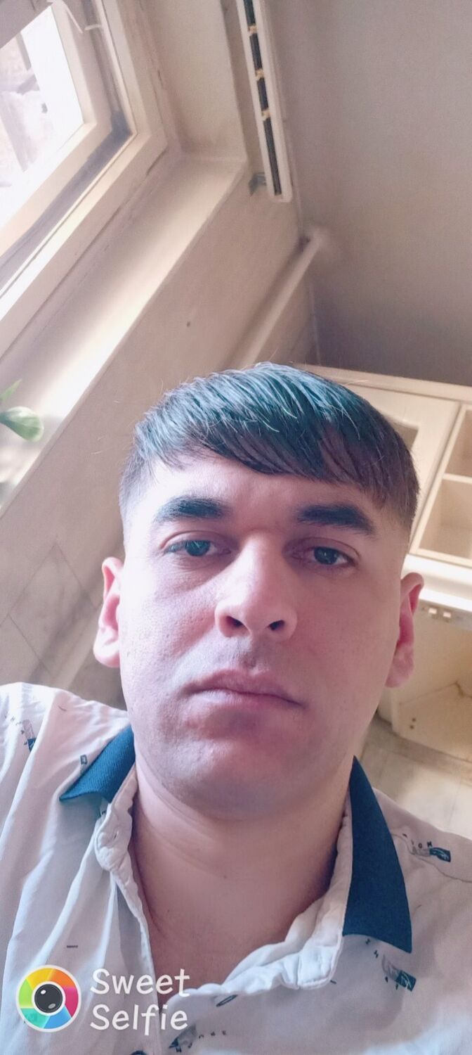  31333565  , 29 ,    -