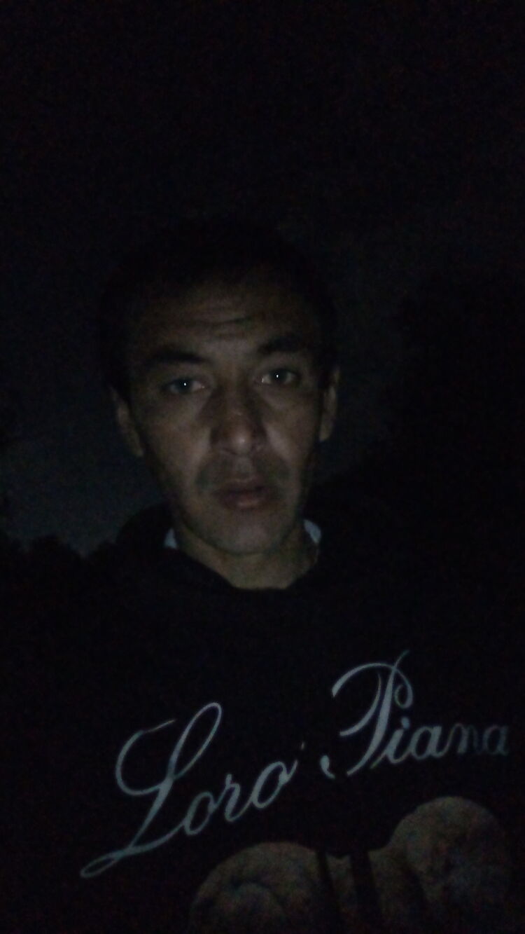  35290055  , 31 ,    