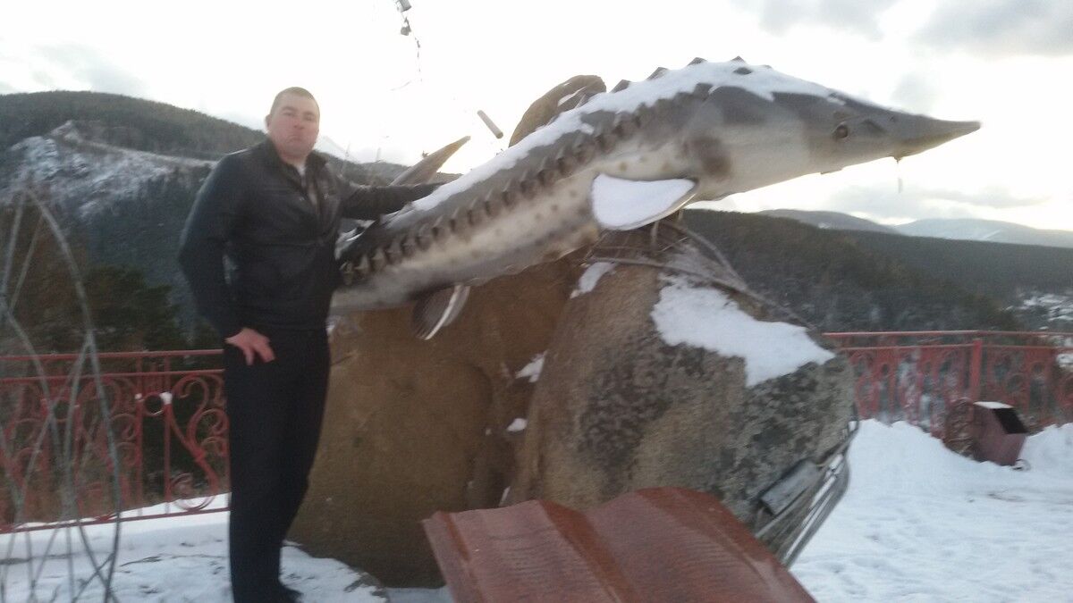 ���� 8892515 ������� ���, 38 ���, ���� ���������� � ��������