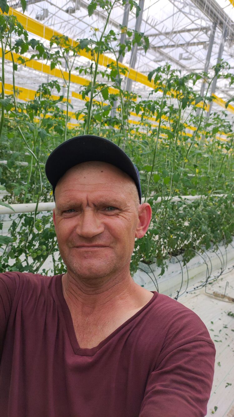  46256275  Viktor, 48 ,    