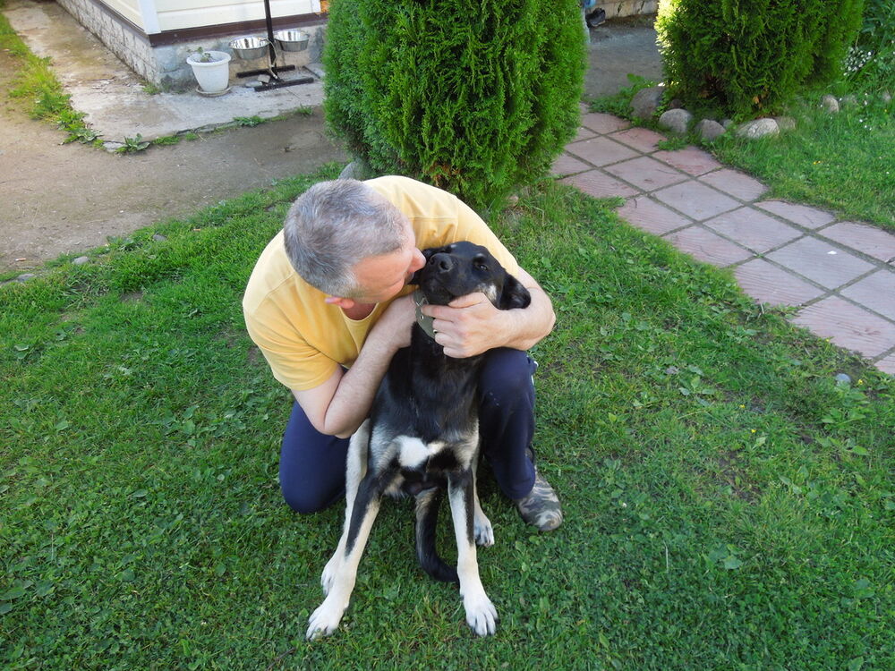  -,   Sergant, 60 ,     , c 