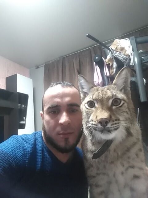 ���� 40837795 ������� �����, 39 ���, ���� ���������� � ���������