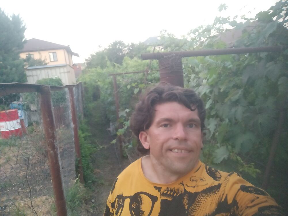  53198865  , 31 ,    