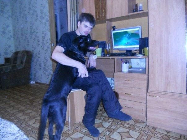 ���� 18246905 ������� ���������, 35 ���, ���� ���������� � ������