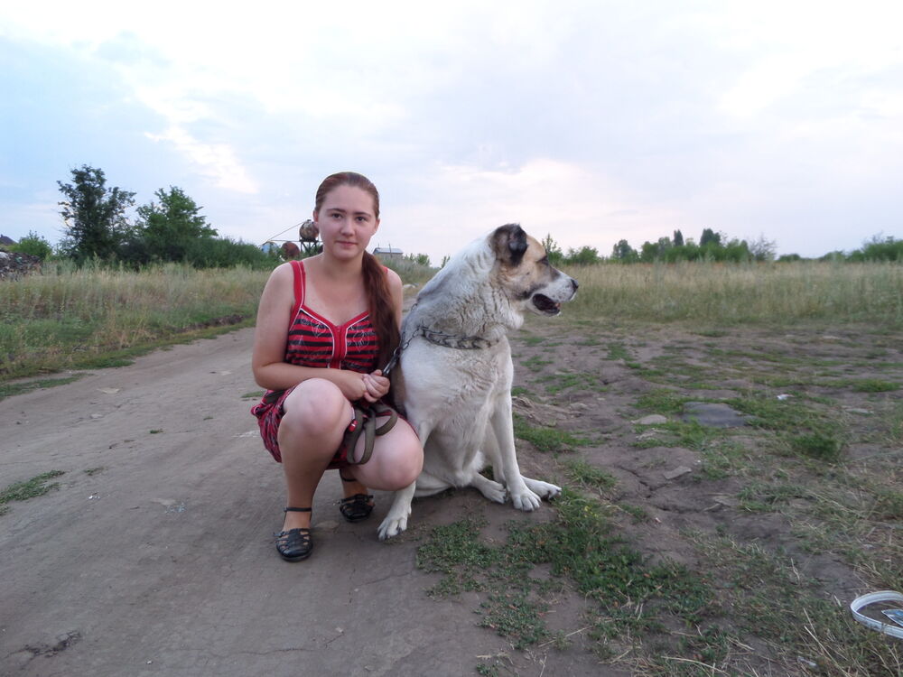 ���������� �������, ���� ������� ������, 30 ���, ������������ ��� ������, ����� � ���������, c�������� ���������