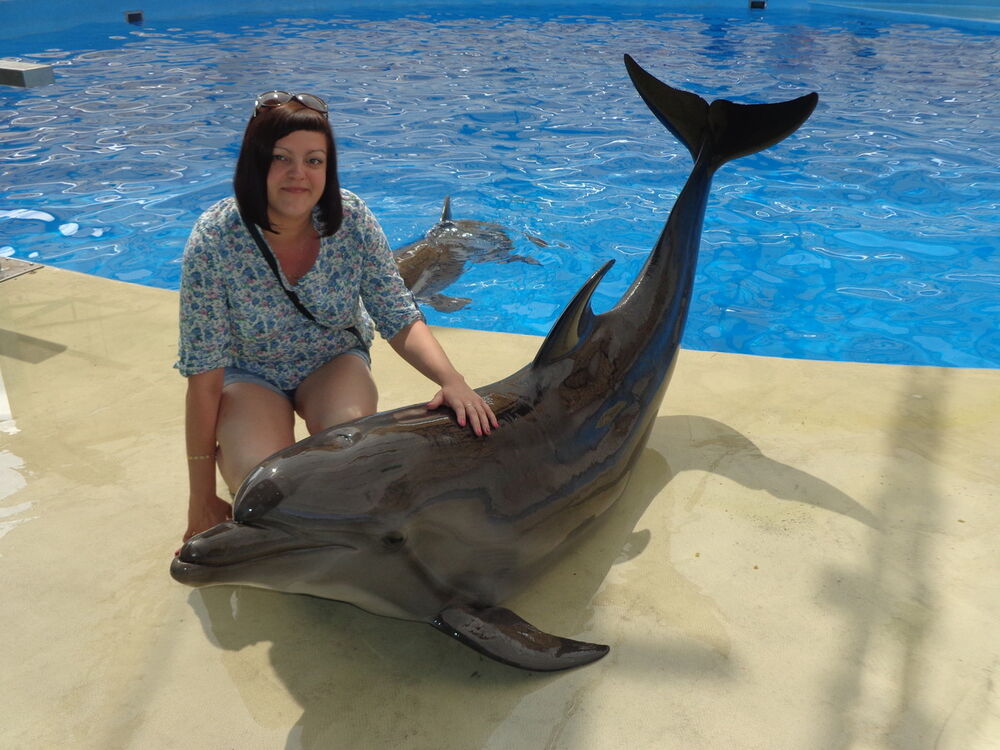 ���������� ������, ���� ������� �����, 42 ����, ������������ ��� ����� � ���������, c�������� ���������