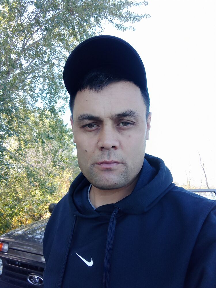  46258205  , 38 ,    