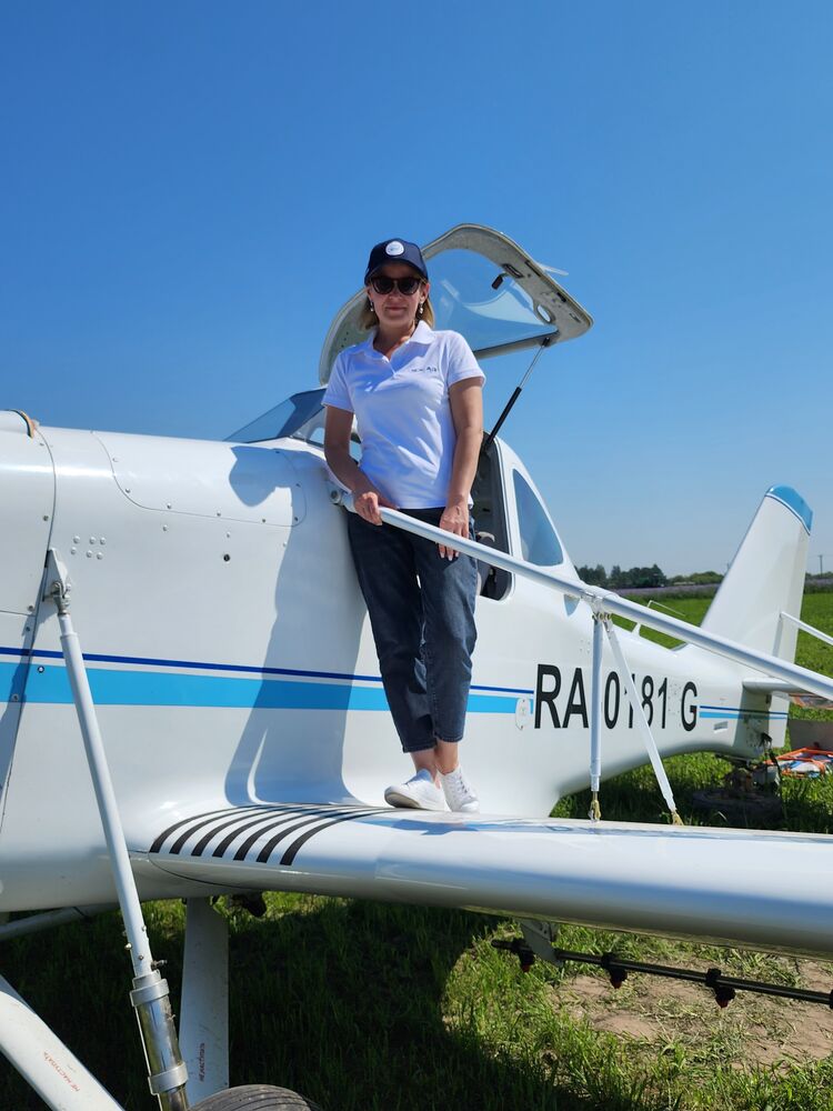  53025315  , 39 ,    --