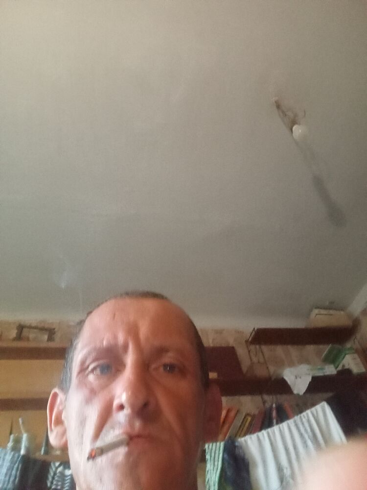  53454005  , 48 ,    