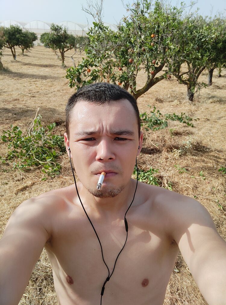  ,   , 34 ,   ,   