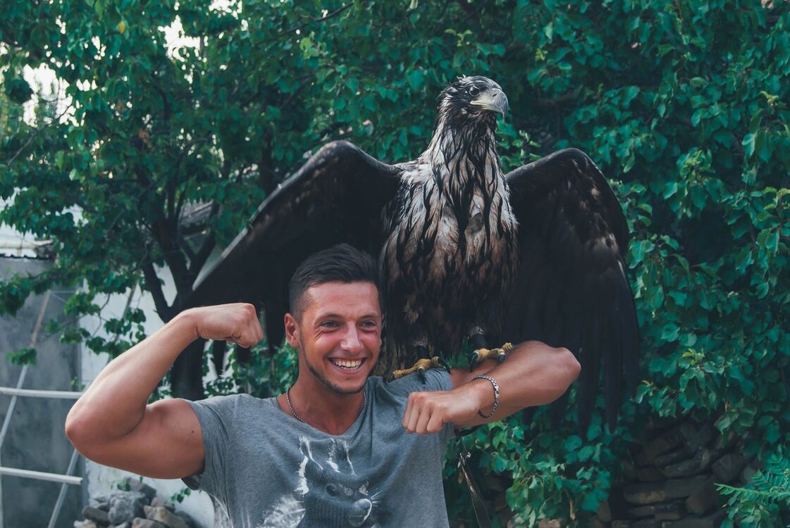 ���� 7924875 ������� ����, 36 ���, ���� ���������� � ������