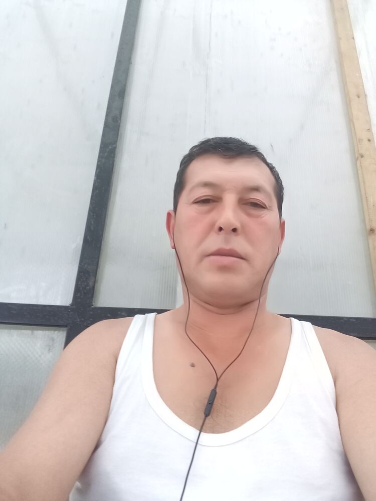 ���� 24102965 ������� Amrillo, 50 ���, ���� ���������� � ������������