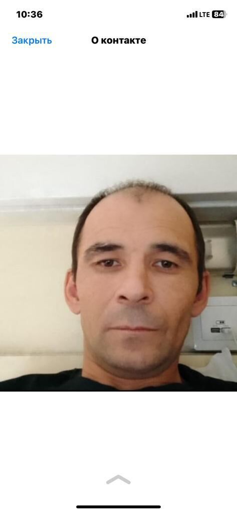  41535985  , 43 ,    