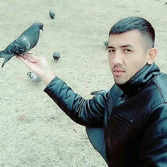 ���� 17637365 ������� �����, 34 ����, ���� ���������� � �����-����������