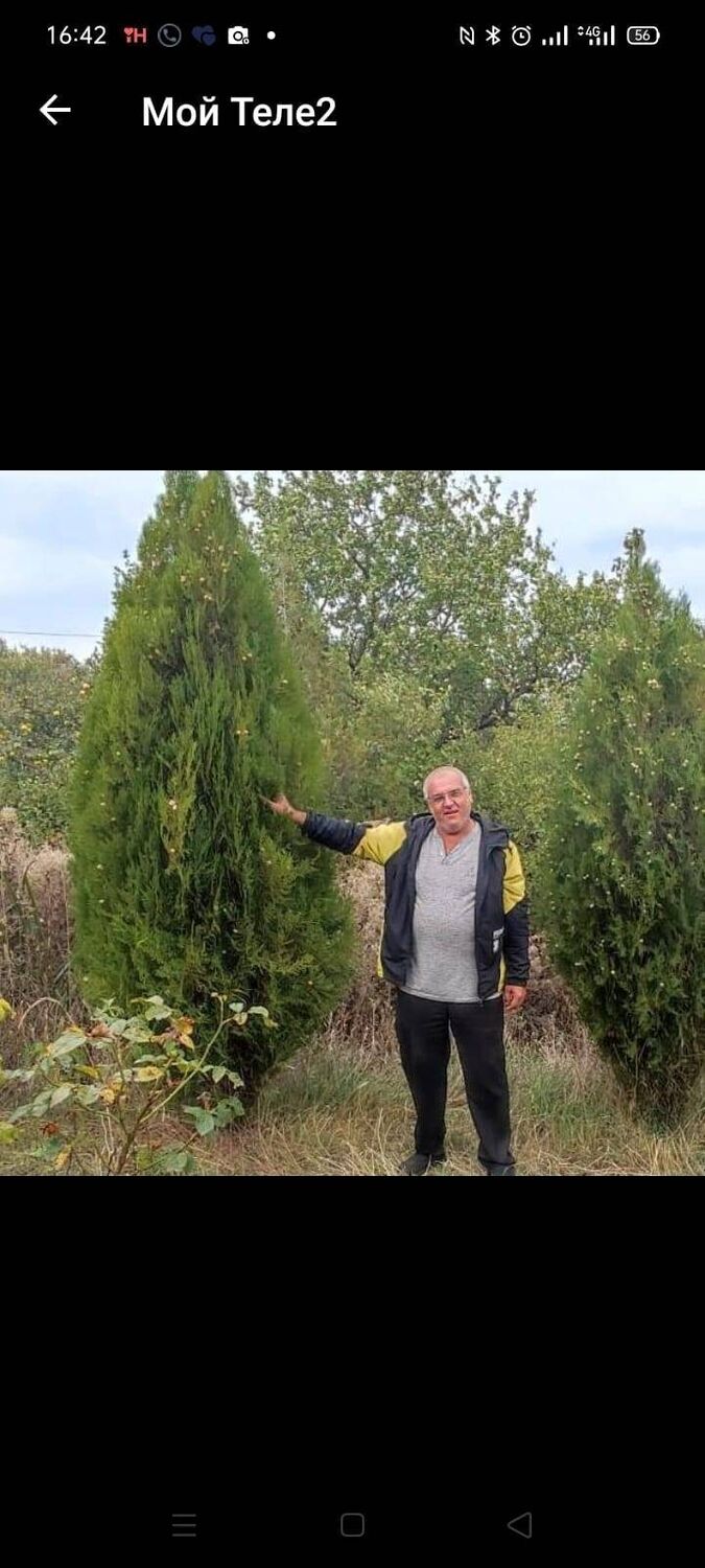  --,   , 63 ,   ,   