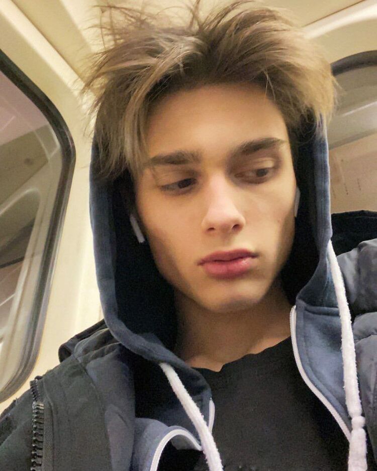 ���� 24666775 ����� Tofy, 23 ����, ���� ���������� � �����