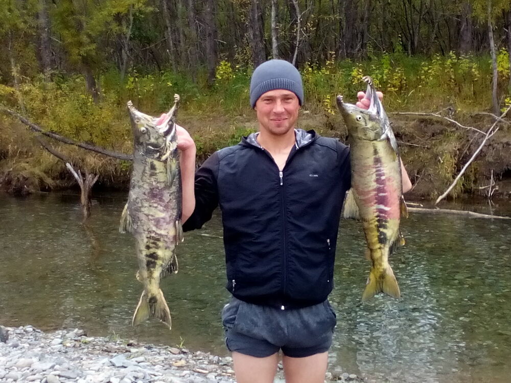 ���������� �����������, ���� ������� ����, 33 ����, ������������ ��� ������, ����� � ���������, c�������� ���������