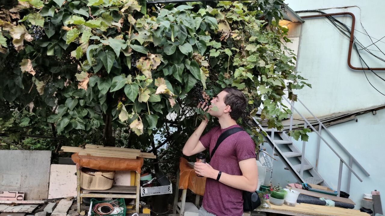  41148975  , 24 ,    --