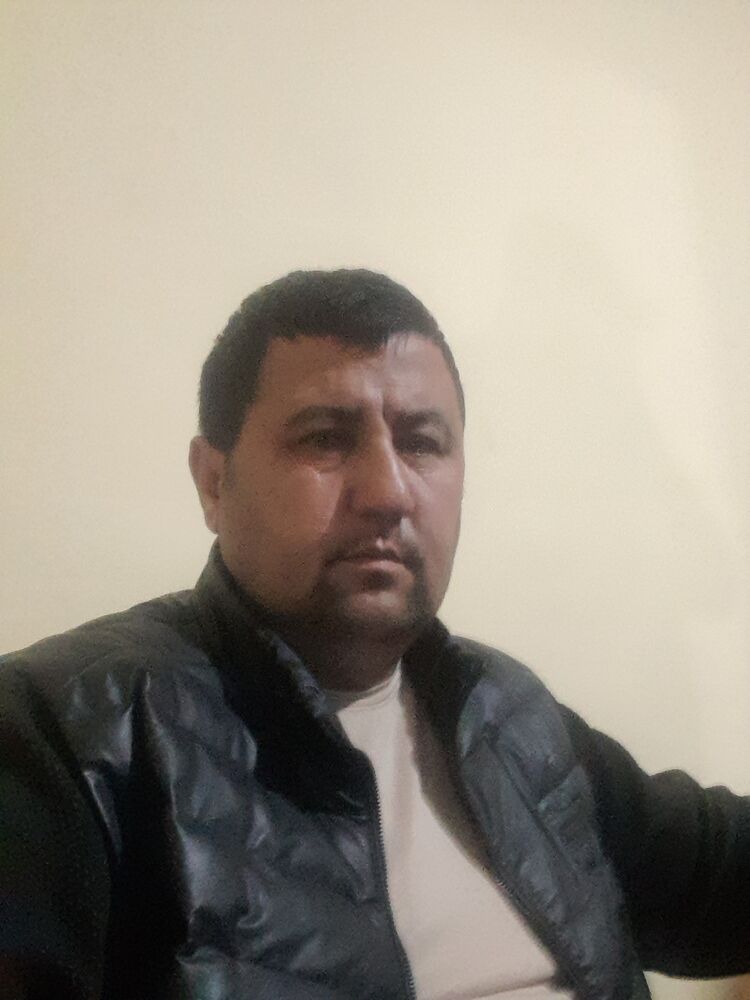  50179585  , 38 ,    