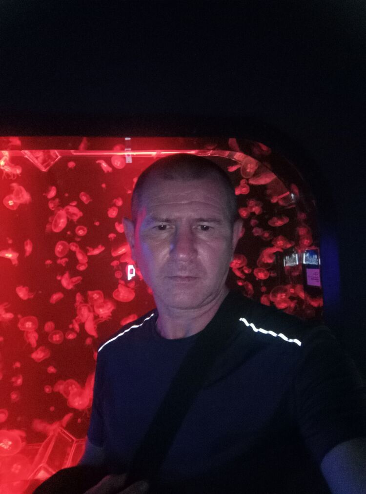  --,   , 50 ,   ,   , 