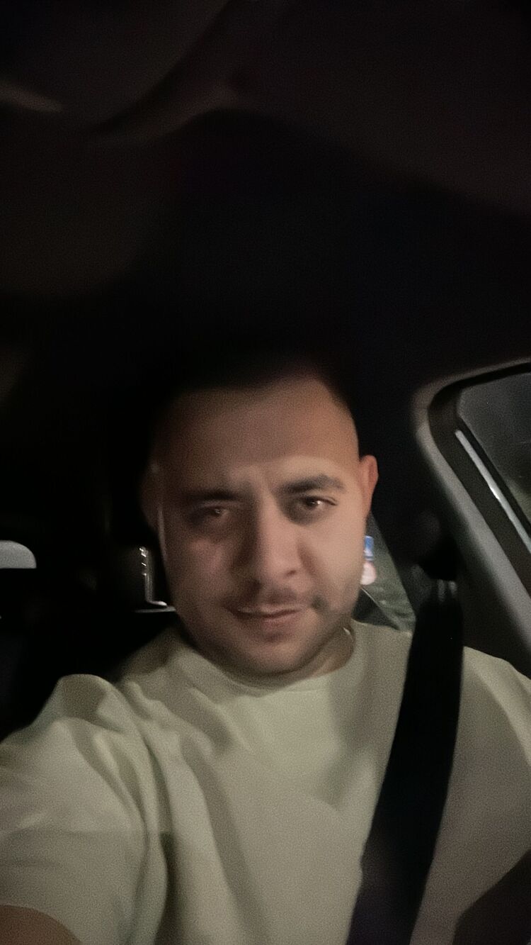  44575085  , 31 ,    