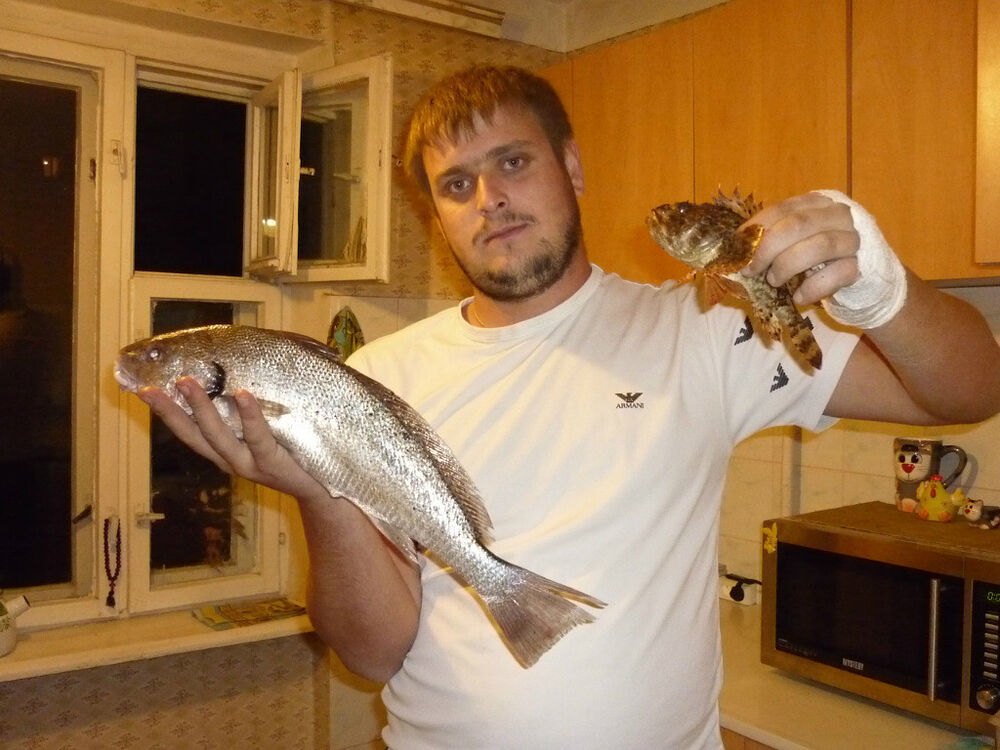 ���������� ������������, ���� ������� 1111111, 40 ���, ������������ ��� ������, ����� � ���������, c�������� ���������