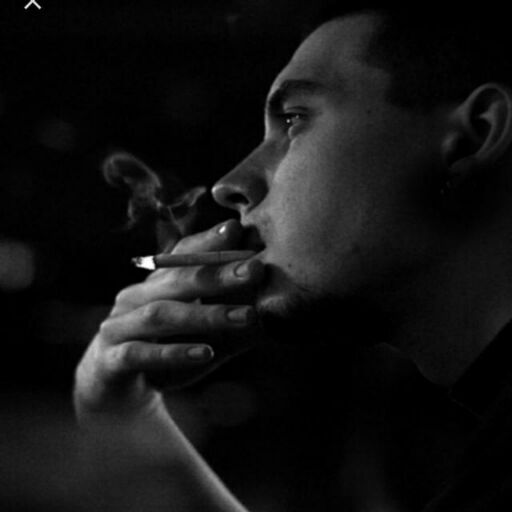 ���� 33200385 ������� ����, 32 ����, ���� ���������� � �������������