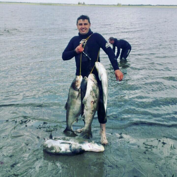  ,    , 32 ,     