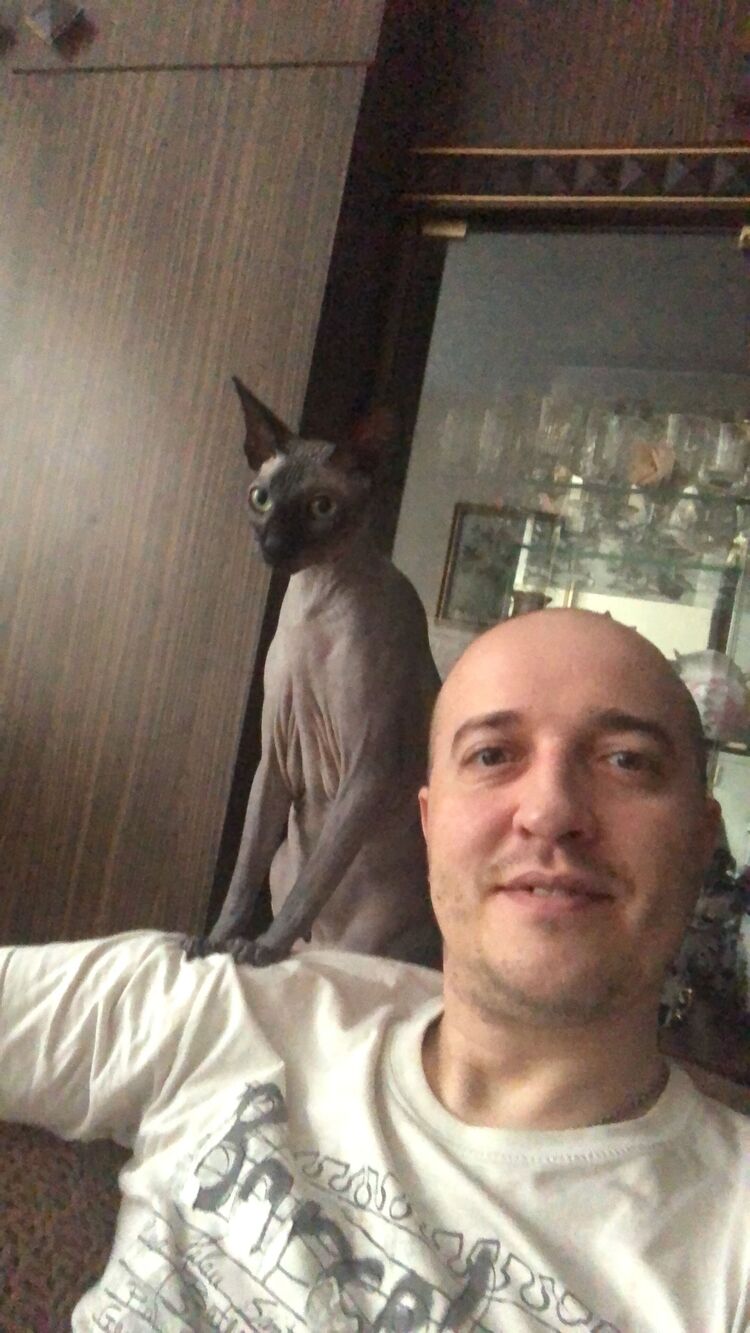  ,   , 41 ,   ,   , c 