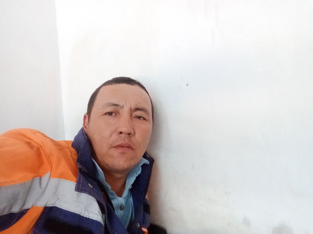  52809185  , 43 ,    