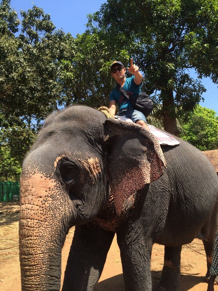 ���������� ������, ���� ������� �������, 38 ���, ������������ ��� ������