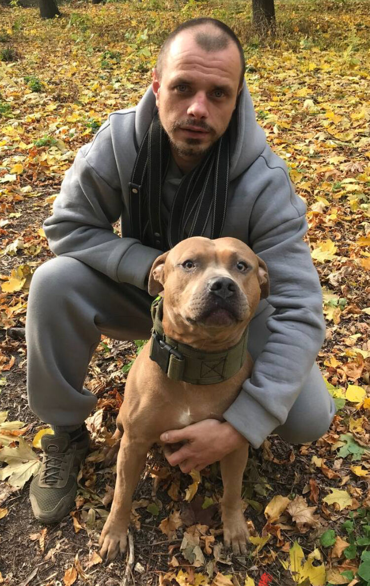 ���� 55386145 ������� �����, 33 ����, ���� ���������� � ���������������