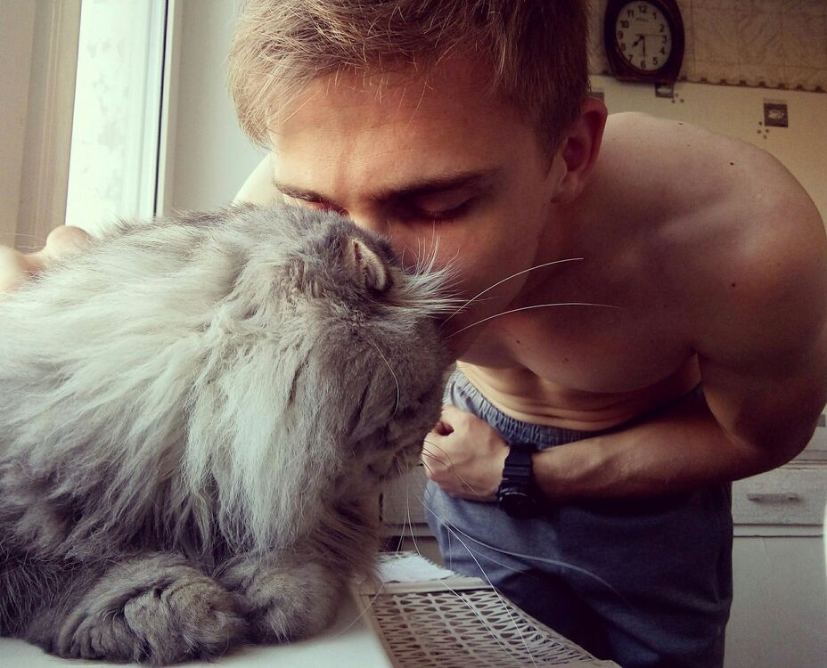 ���������� ����, ���� ������� ���������, 30 ���, ������������ ��� ������, ����� � ���������, c�������� ���������, ���������