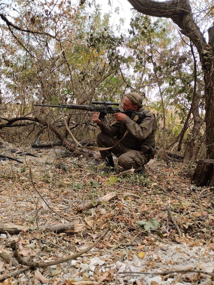 ���������� ��������, ���� ������� Lis, 42 ����, ������������ ��� c�������� ���������, ���������