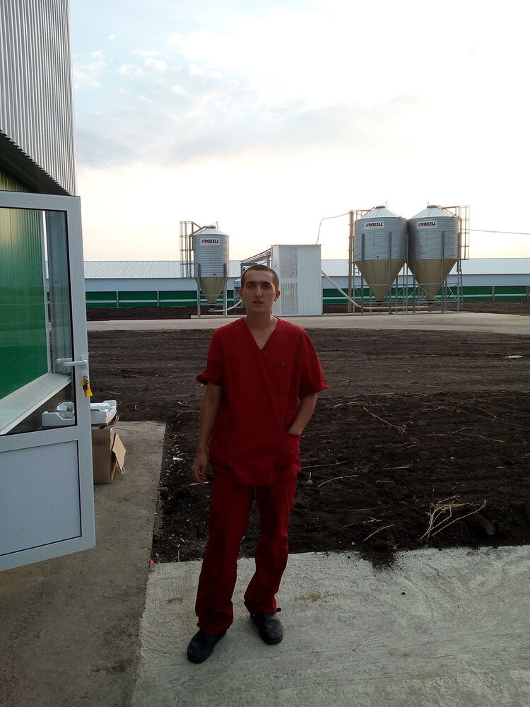 ���� 8155825 ������� Wetalya, 30 ���, ���� ���������� � �������