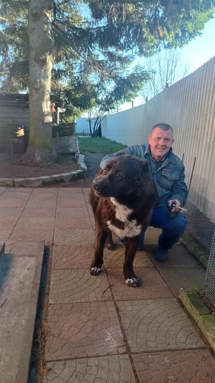 ���������� �����-���������, ���� ������� ������, 49 ���, ������������ ��� ������, ����� � ���������