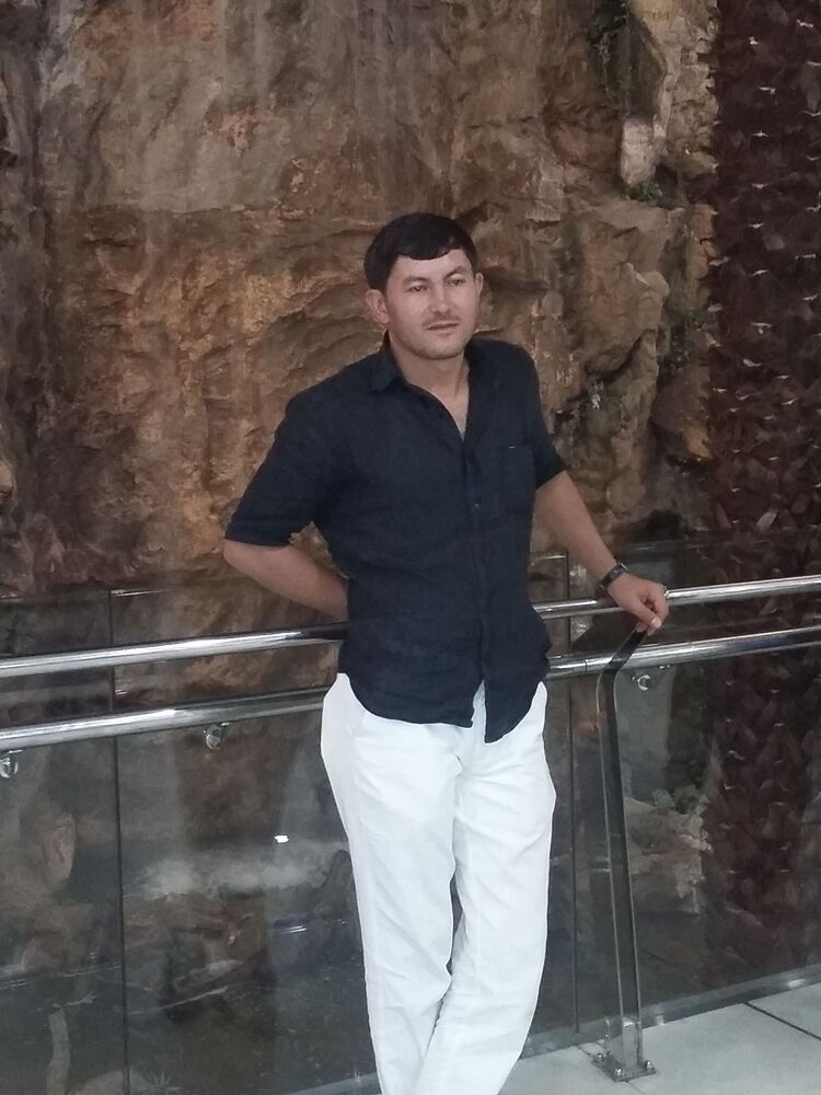  37155575  , 41 ,    -