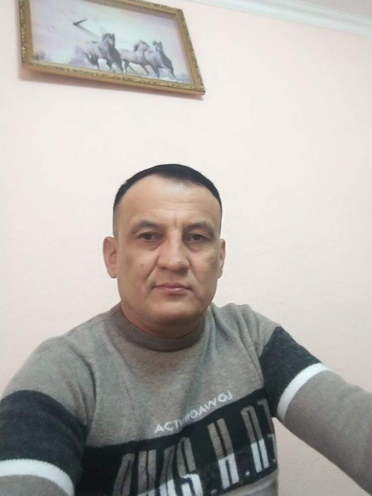 40545705  , 49 ,    