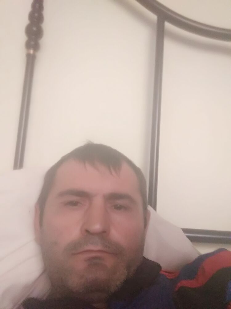  24237515  , 44 ,    