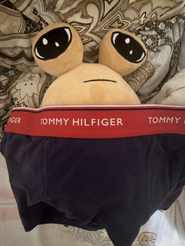 ���� 40888675 ����� Sexyfrau, 20 ���, ���� ���������� � ������