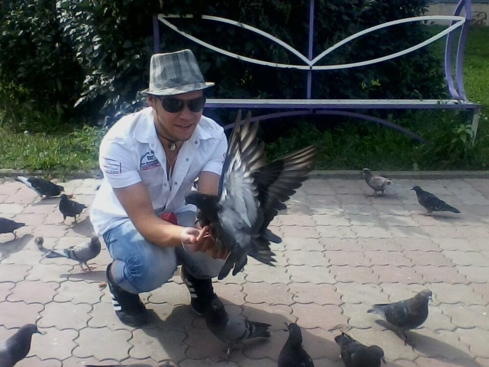 ���� 8036035 ������� ���������, 35 ���, ���� ���������� � ��������