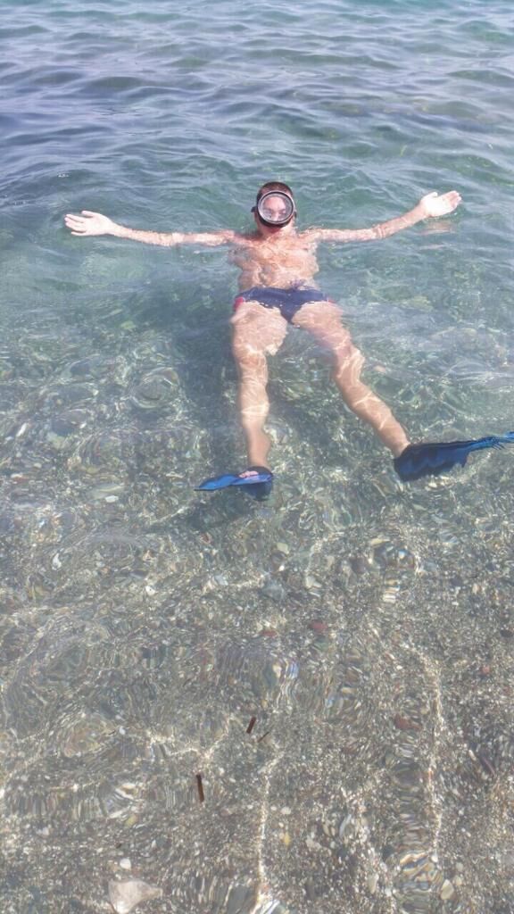 ���� 25530655 ������� �������, 43 ����, ���� ���������� � ������