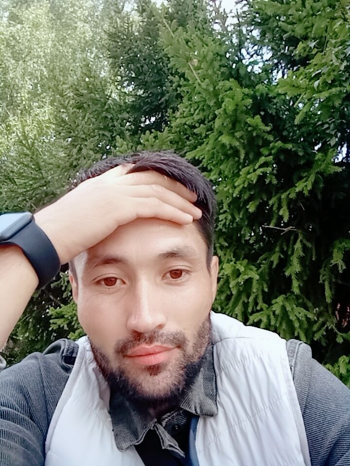  36453105  , 32 ,    